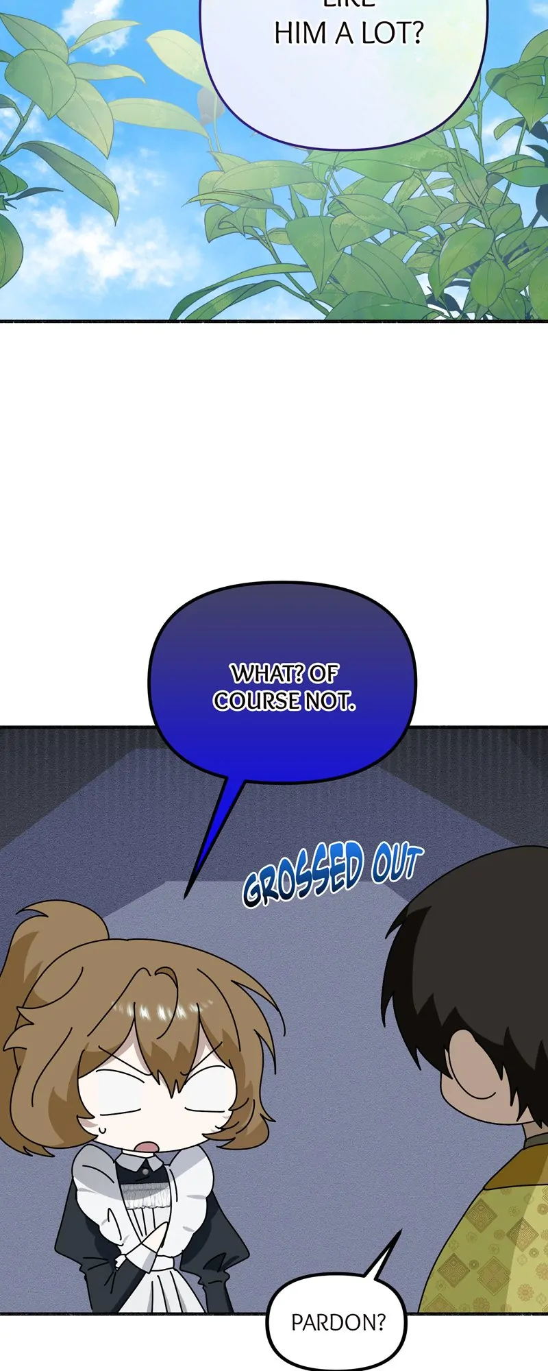 48688427 800 2000 127904