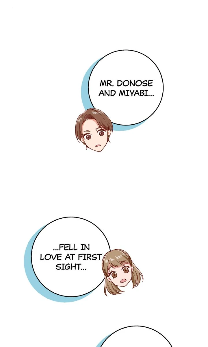 84910497 720 1200 33072